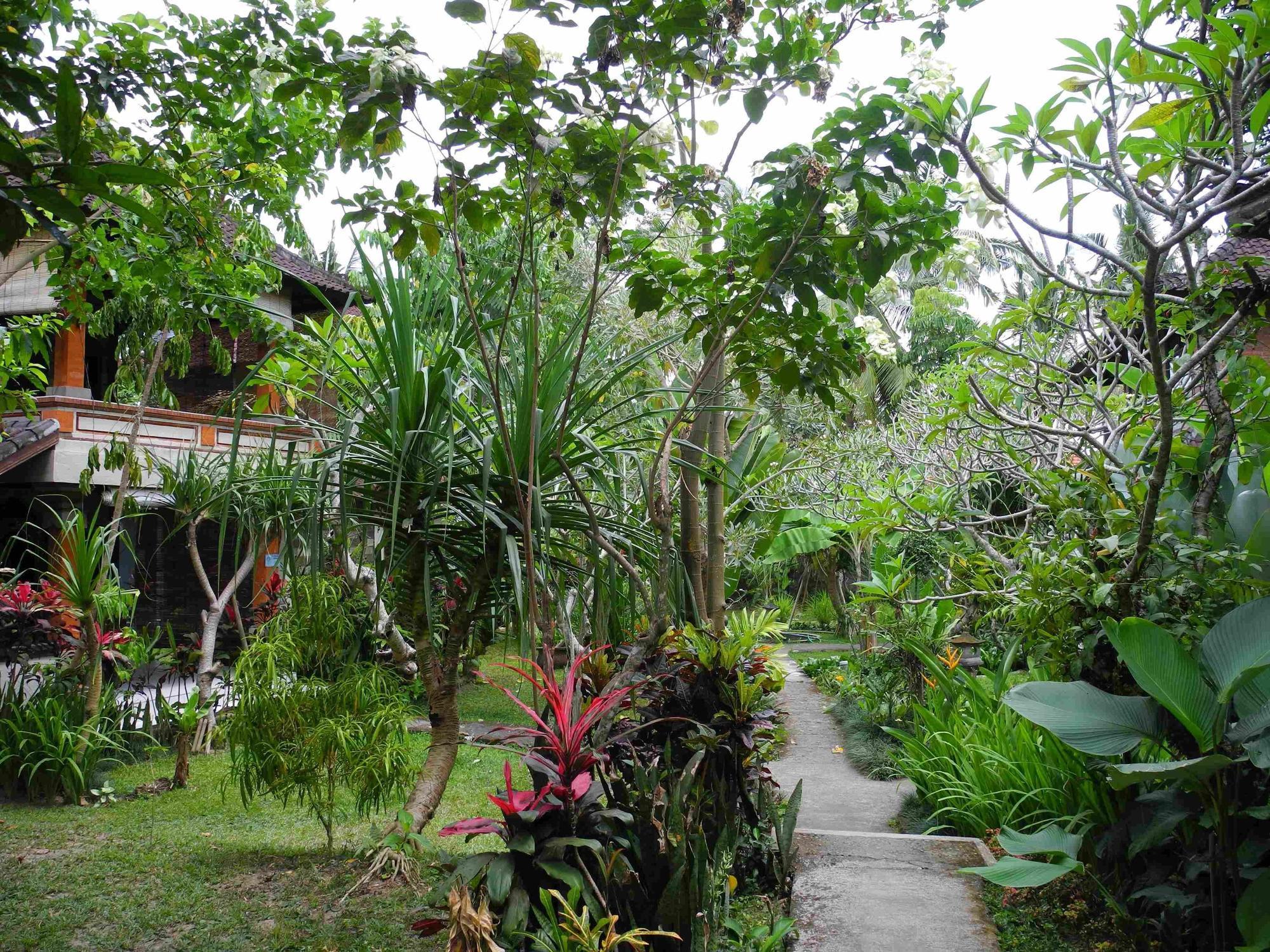 Recep Bungalow Ubud Exterior foto